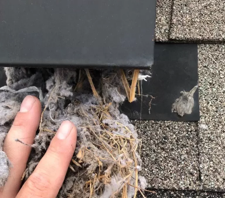 Dryer Vent Cleaning in Kansas City